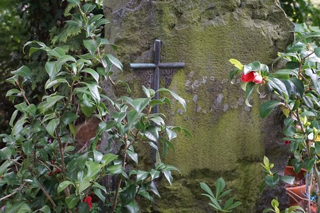 Bad Godesberg